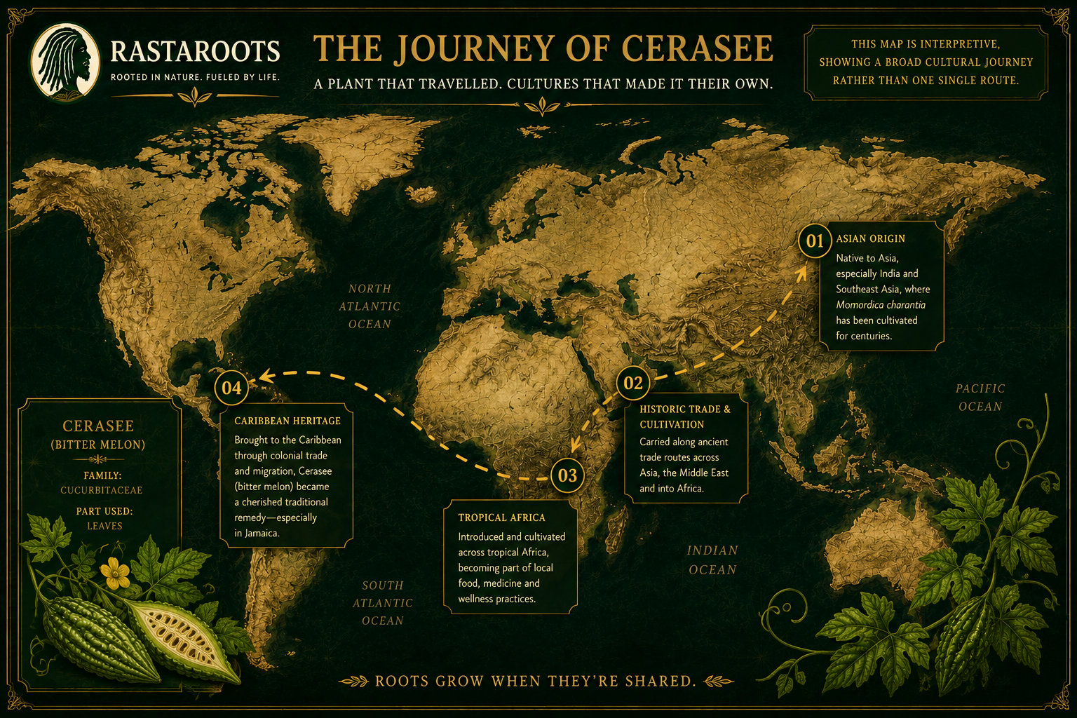 RastaRoots heritage map illustrating the cultural journey of cerasee Momordica charantia into Jamaica and Caribbean tradition