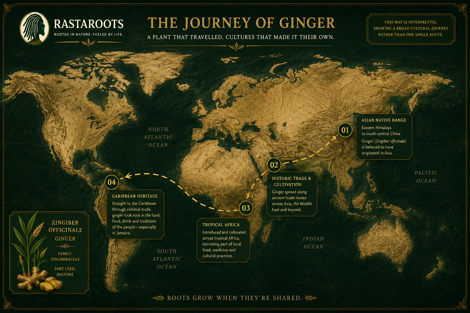 RastaRoots heritage map illustrating ginger's broad journey from Asia through historic trade and cultivation into tropical Africa and the Caribbean