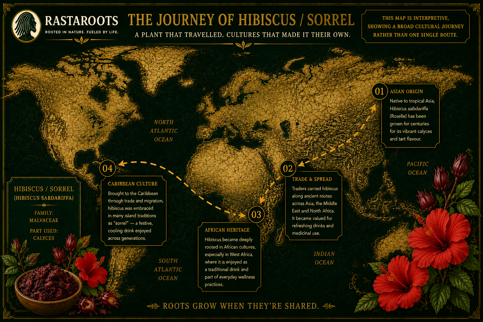 RastaRoots heritage map illustrating the cultural journey of hibiscus and Caribbean sorrel