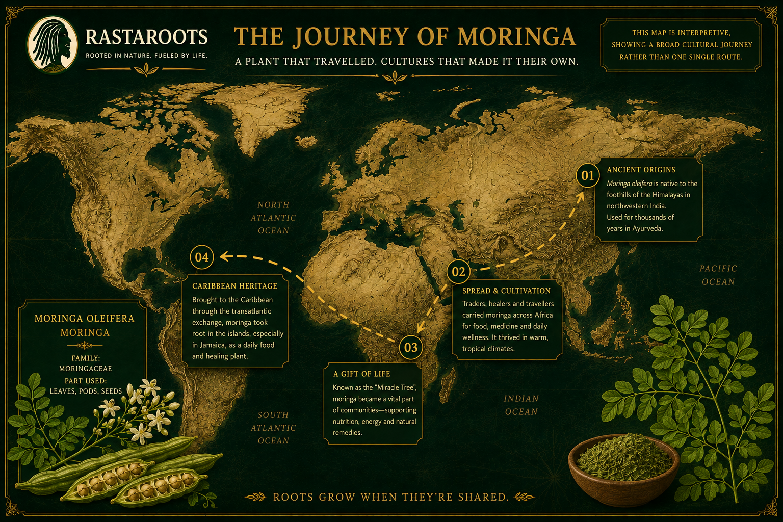 RastaRoots heritage map illustrating the broad cultural journey of moringa from South Asia into Africa and the Caribbean