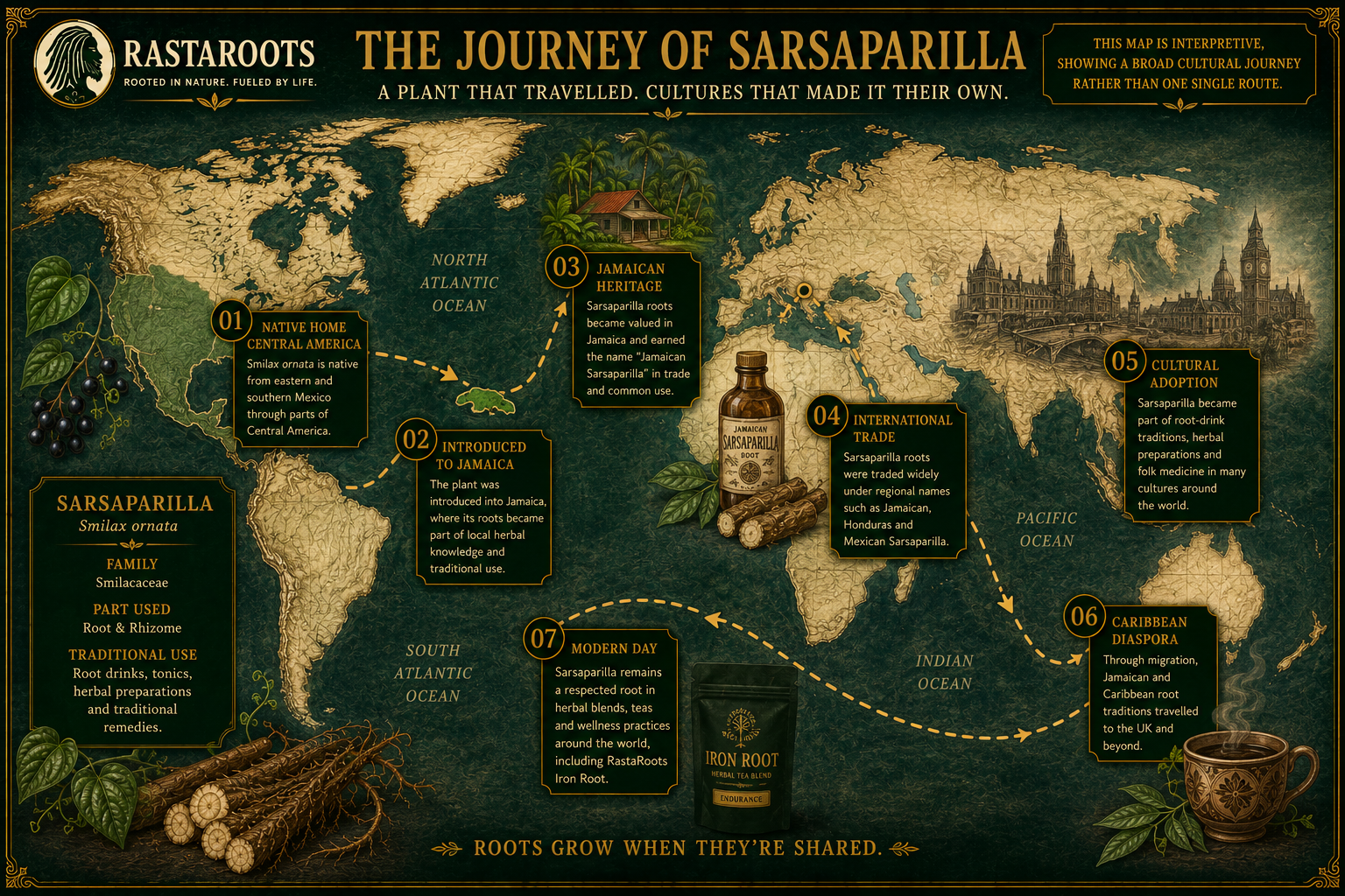 RastaRoots heritage map showing the cultural journey of Smilax ornata sarsaparilla from Central America to Jamaica and the wider world